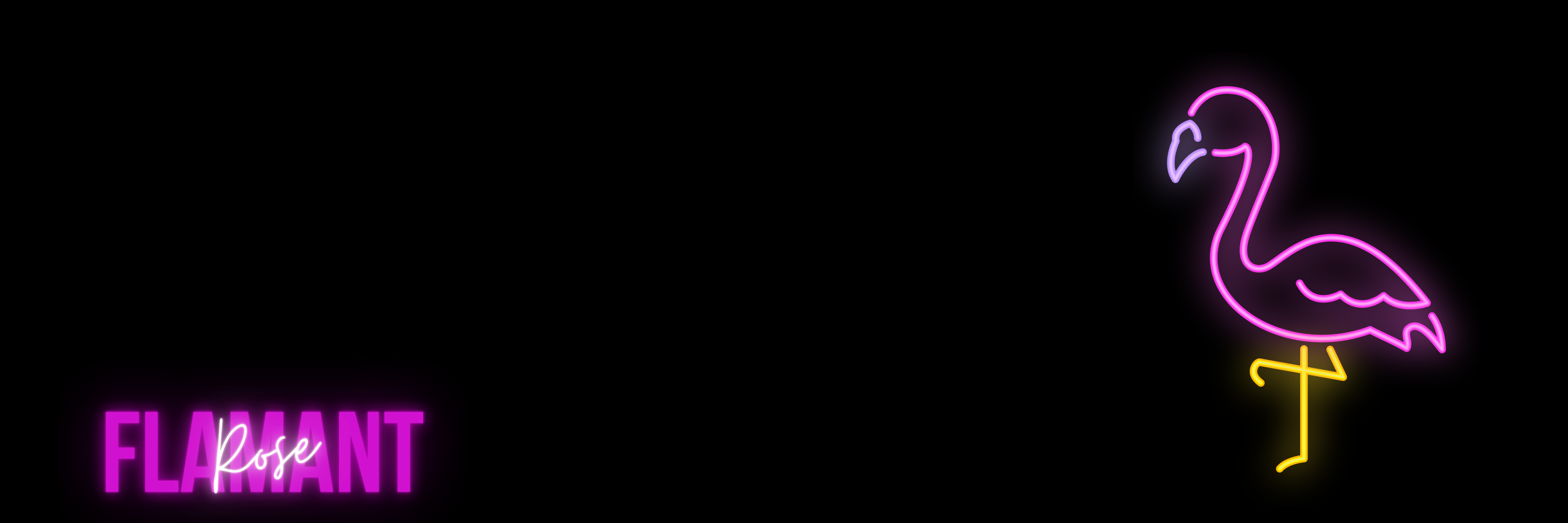 Neon pink flamingo logo on a black background with 'FLAMANT' text.