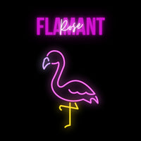 tsgabrielle® • Flamant 🦩 Rose • Pillows • Black • 3 Sizes