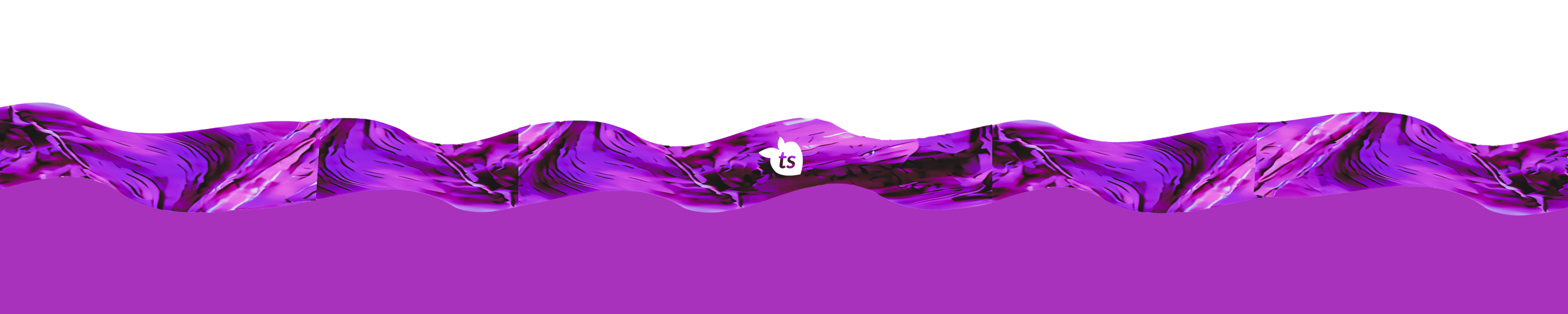Footer tsgabrielle © 2025