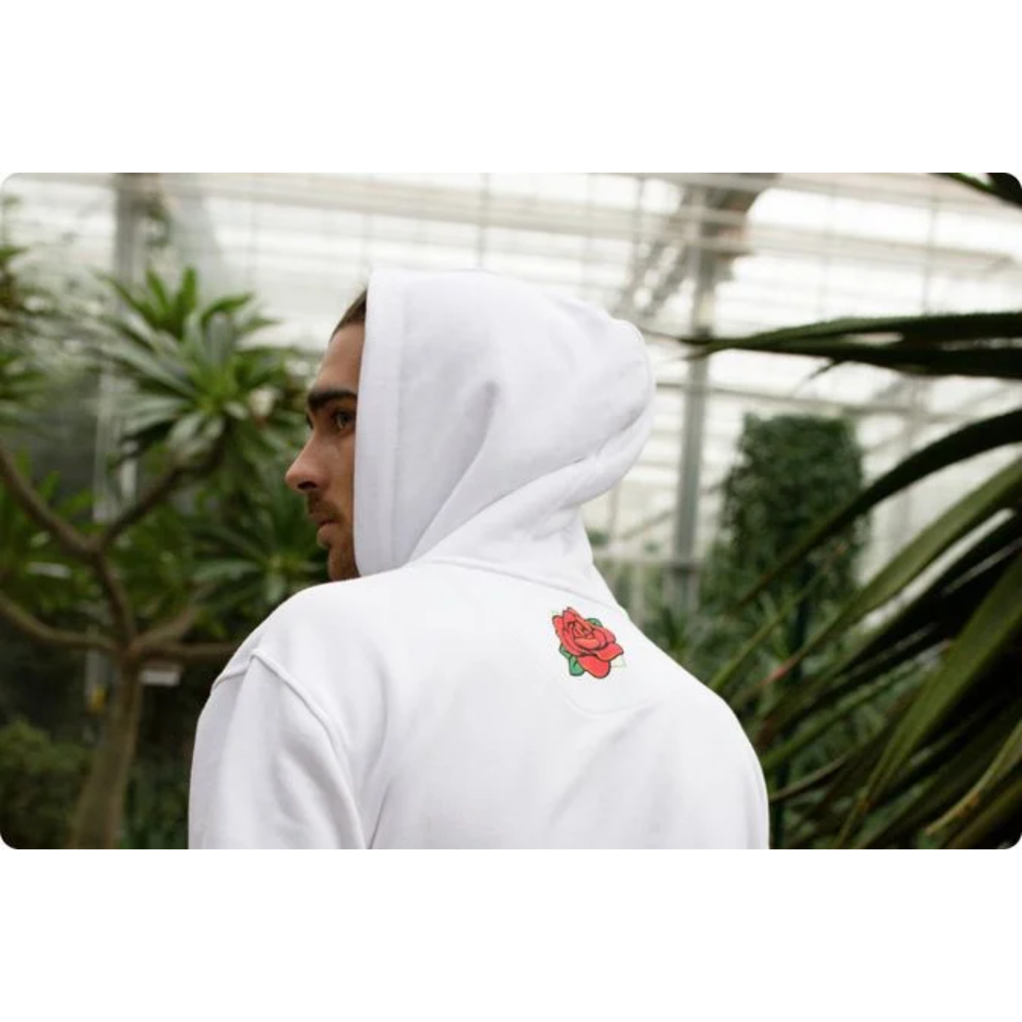 Person wearing a white hoodie with a red rose design in a greenhouse setting