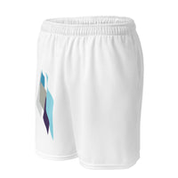 tsgabrielle® • For Him 👔 • Crystal Skies • Mesh Shorts