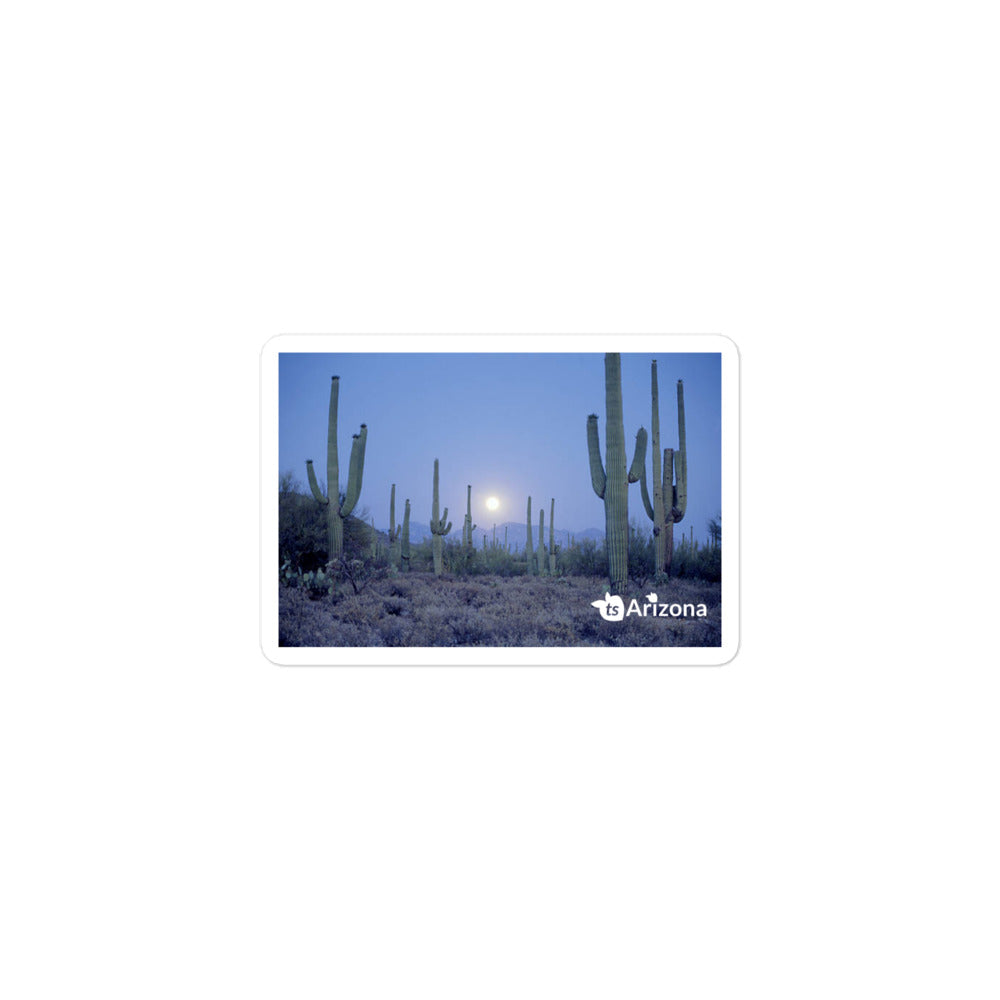 tsgabrielle® • Arizona 🌵 - Saguaro National Park • Sticker Bubble-Free • 3 Sizes •