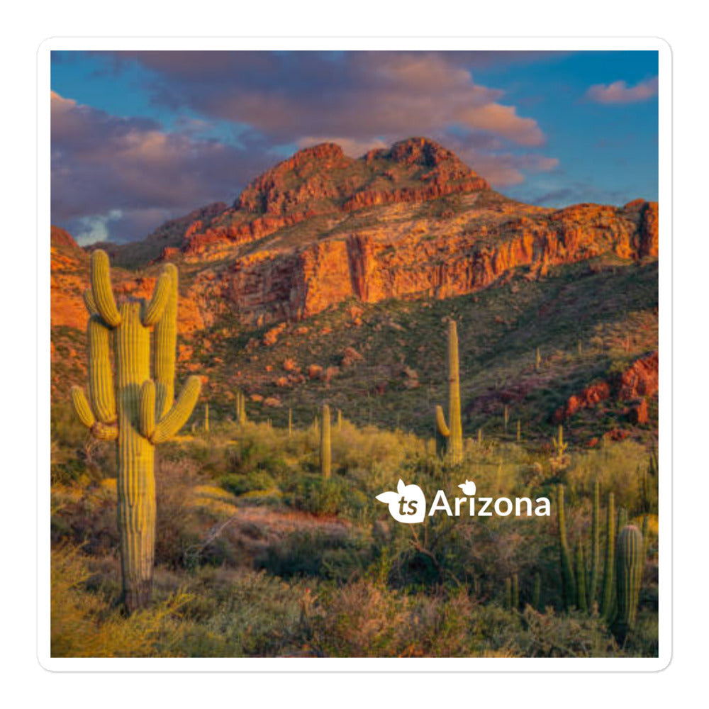 250 - tsgabrielle® • Arizona - Tucson-bjergkæden • Klistermærker uden bobler • 3 størrelser