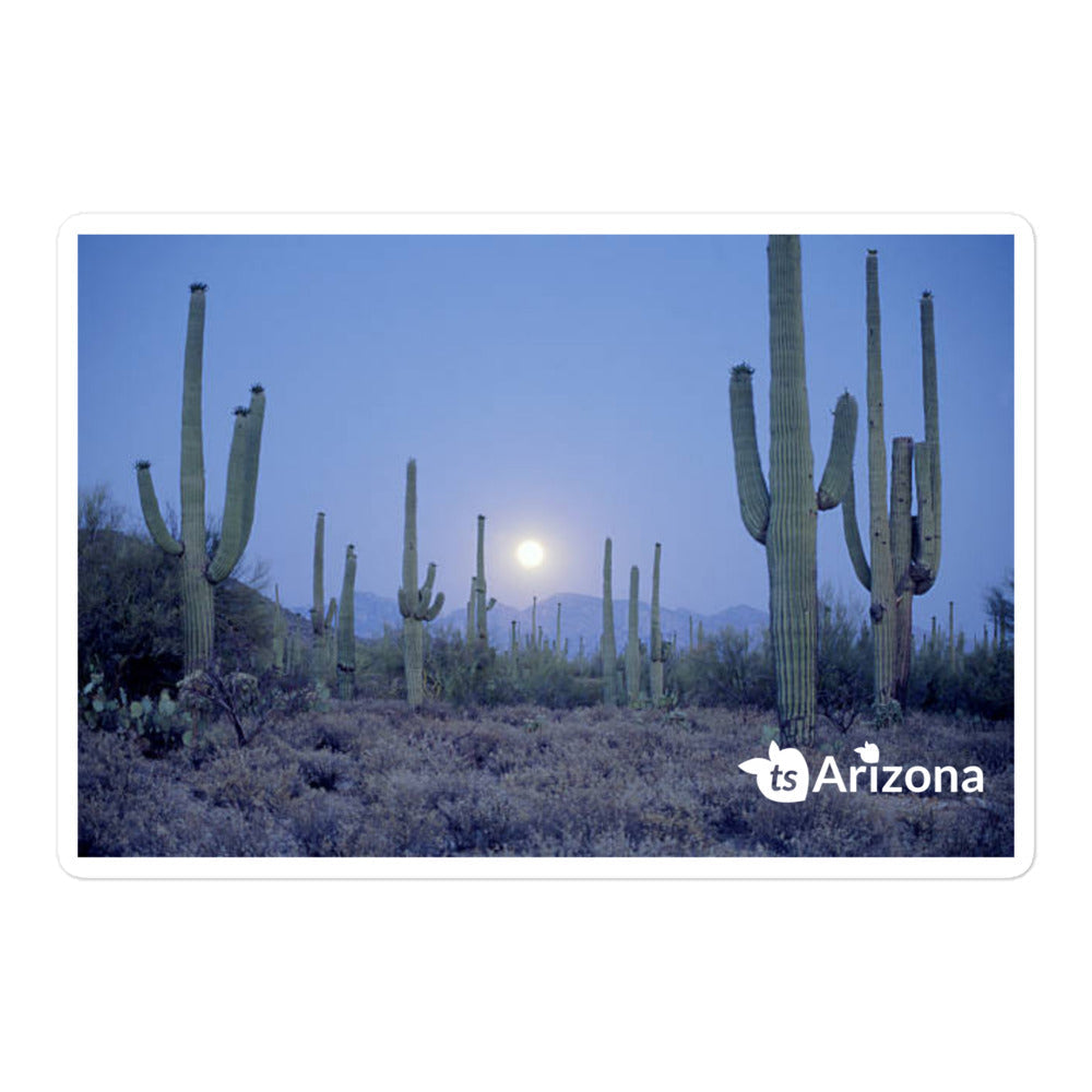 tsgabrielle® • Arizona 🌵 - Saguaro National Park • Sticker Bubble-Free • 3 Sizes • 5.5″×5.5″ Vinyl Removable