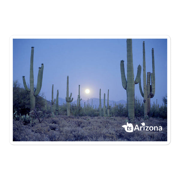tsgabrielle® • Arizona 🌵 - Saguaro National Park • Sticker Bubble-Free • 3 Sizes • 5.5″×5.5″ Vinyl Removable