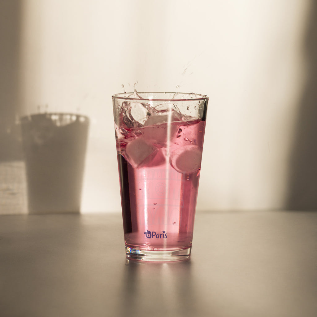 tsgabrielle® • Paris - Notre-Dame Cathedral • Shaker Pint Glass • 16 oz