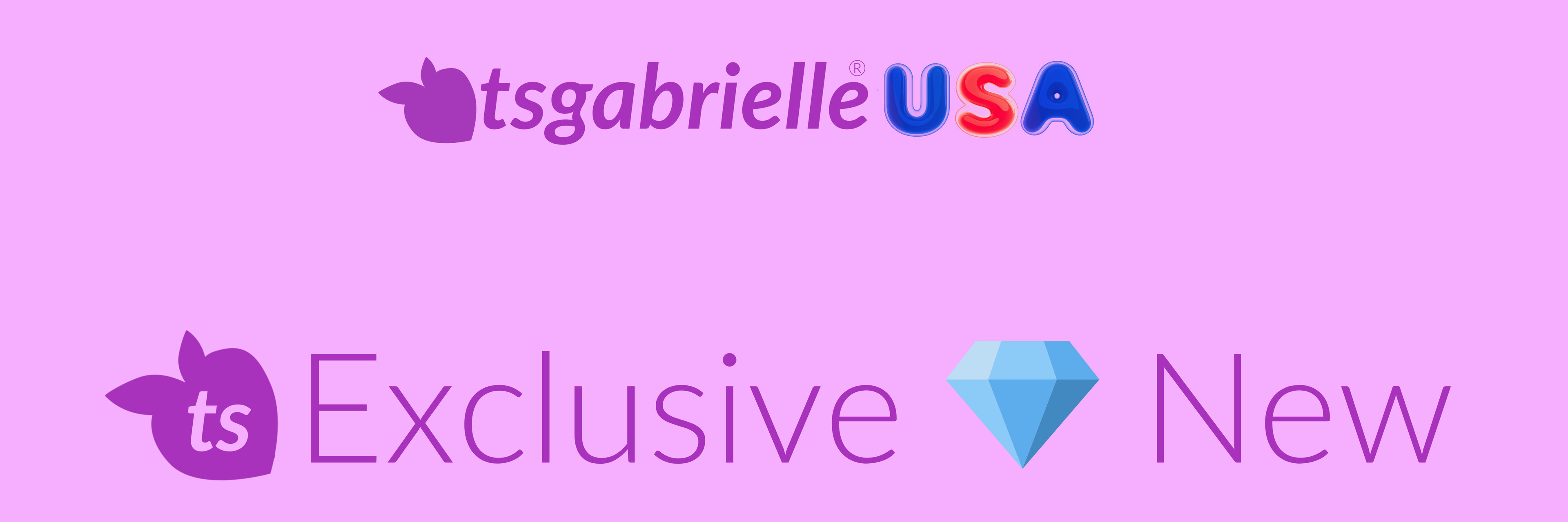 Logo with 'tsgabrielle USA' on a purple background