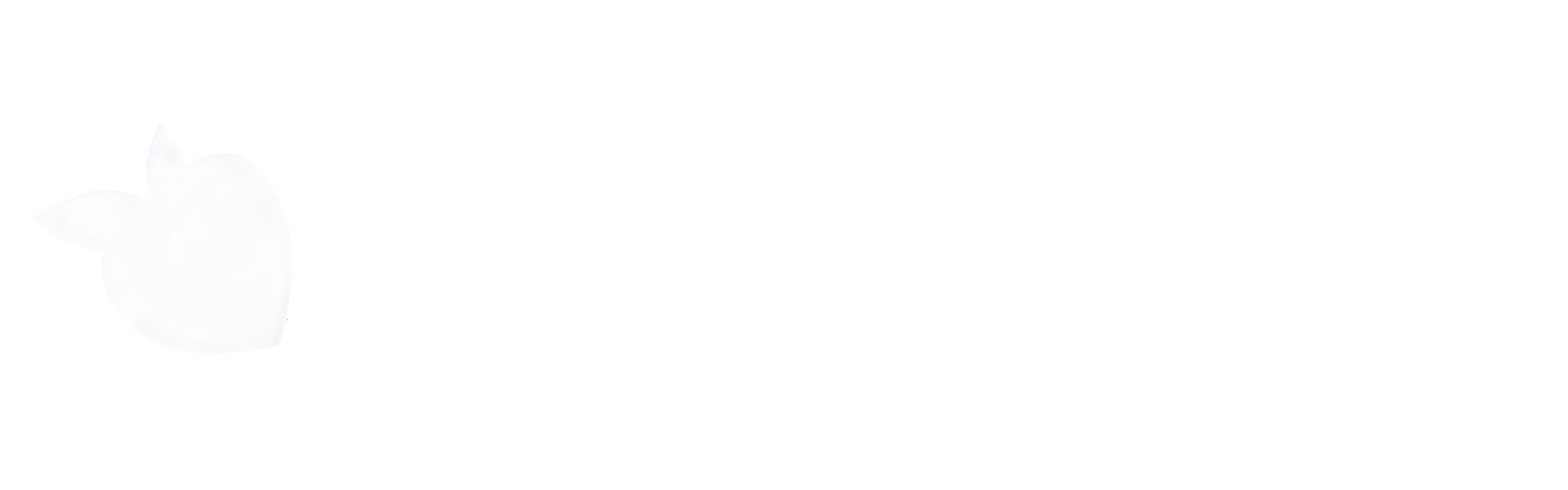 tsgabrielle® EU Logo White